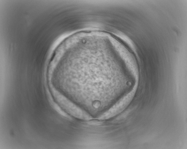 X0000115061488200911231204