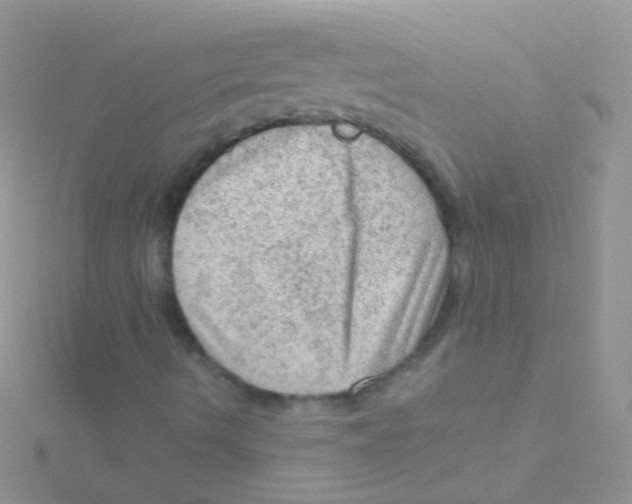 X0000115061490200911231203