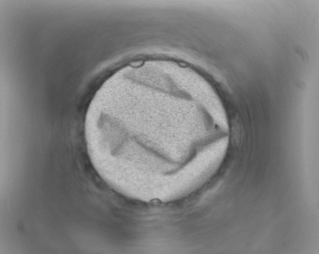 X0000115061494200911231203