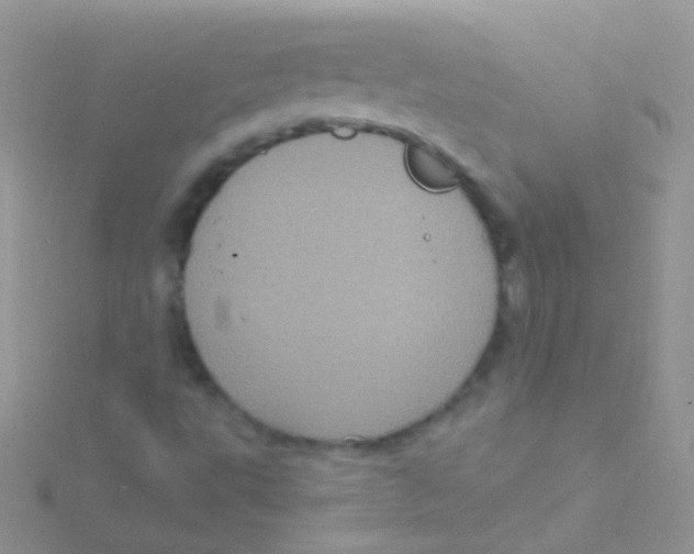 X0000115061495200911231203