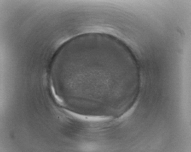 X0000115061497200911231203