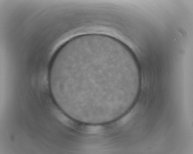 X0000115061498200911231203