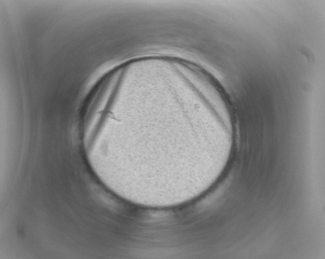 X0000115061501200911231203