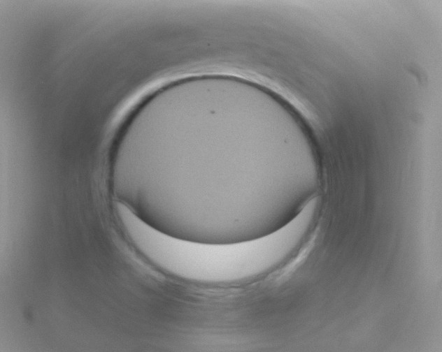 X0000115061502200911231203