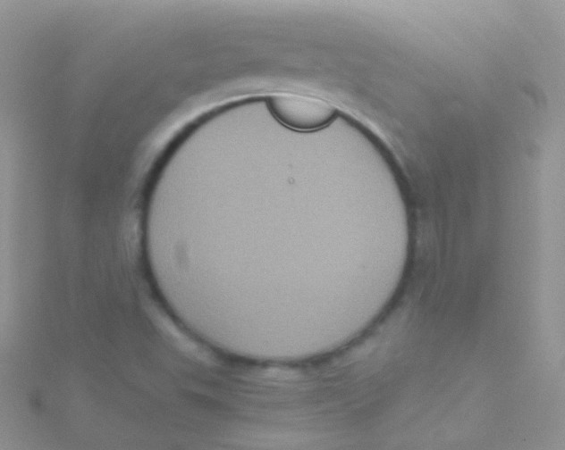 X0000115061503200911231203