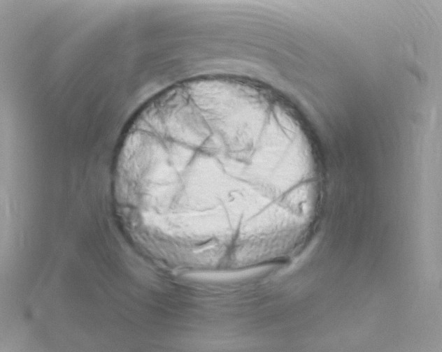 X0000115061505200911231203