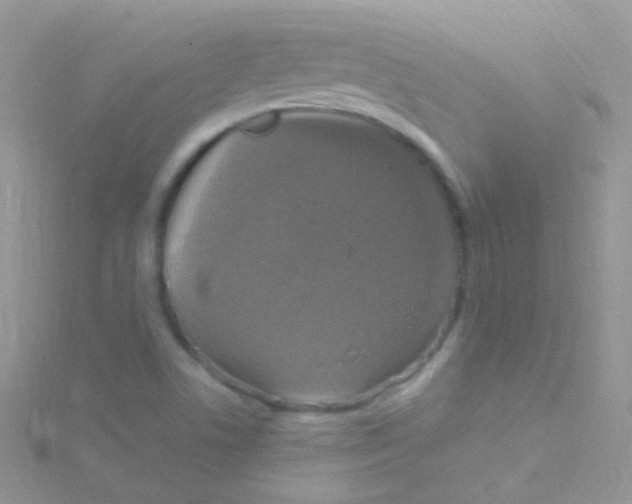 X0000115061506200911231203