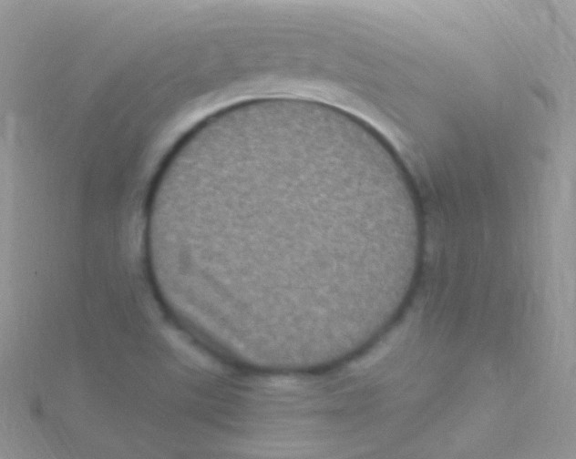 X0000115061507200911231203