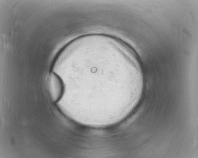 X0000115061509200911231204