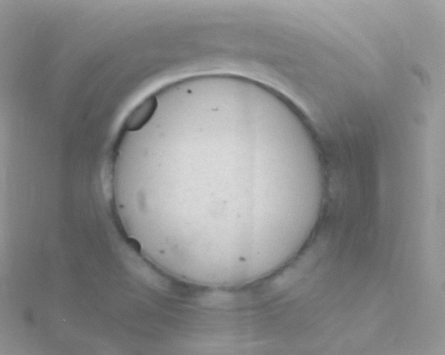 X0000115061510200911231204