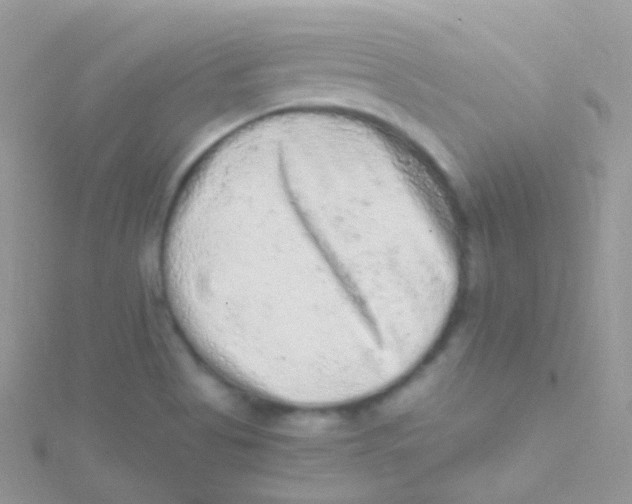 X0000115061513200911231204