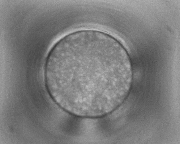 X0000115061514200911231204