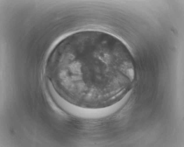 X0000115061515200911231204