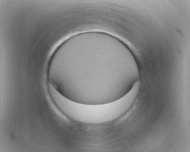 X0000115061518200911231204