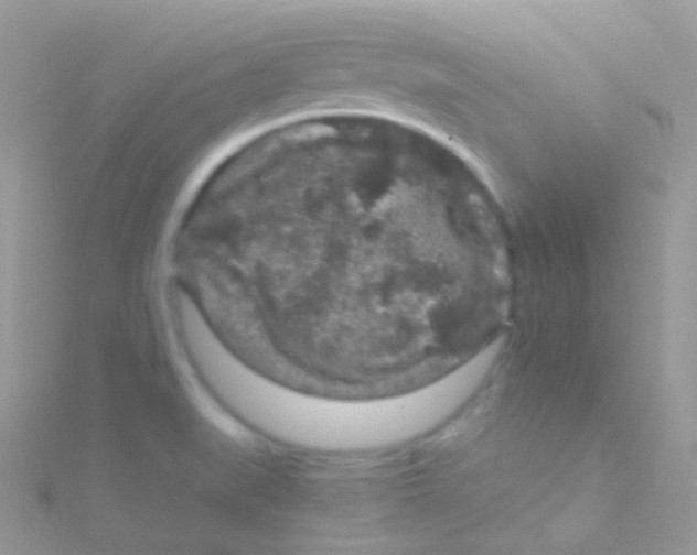 X0000115061519200911231204