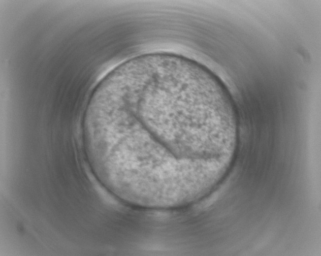 X0000115061521200911231204