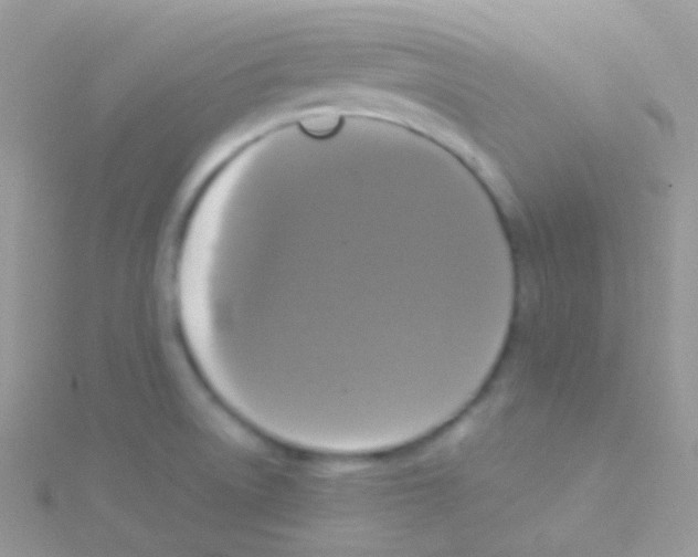 X0000115061522200911231204