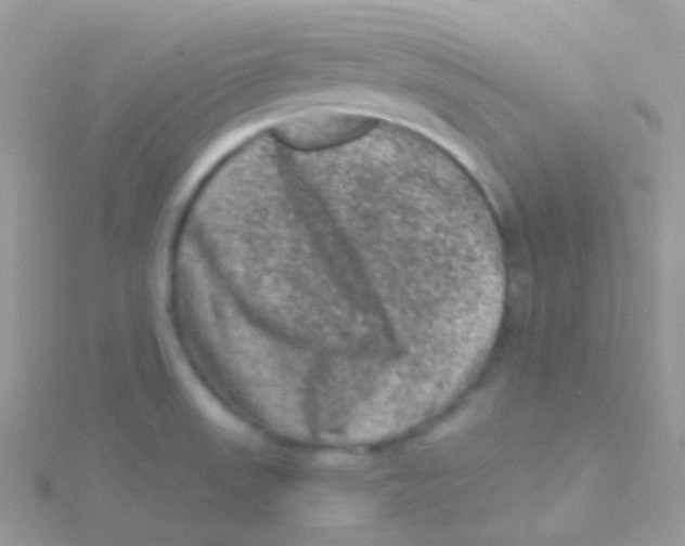 X0000115061523200911231204