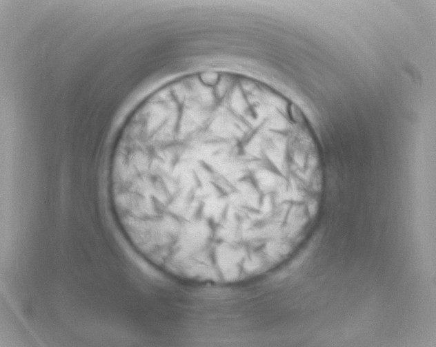 X0000115061525200911231204