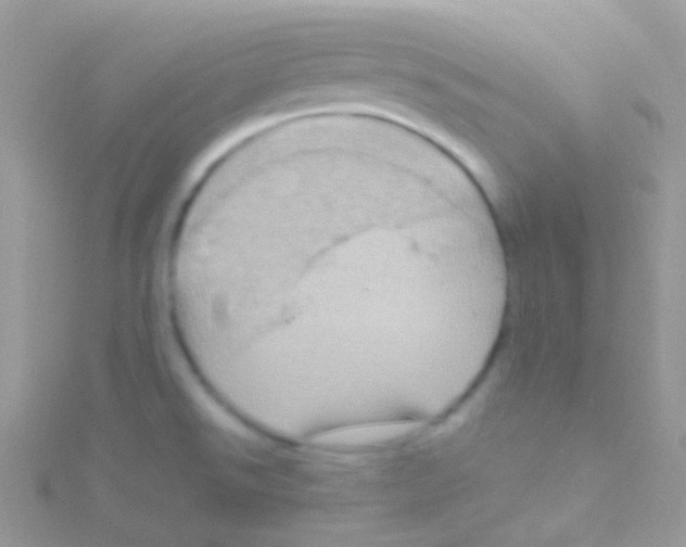 X0000115061526200911231204