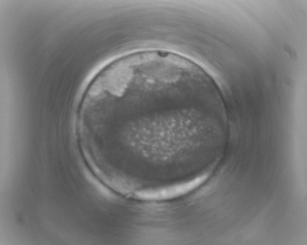 X0000115061527200911231204