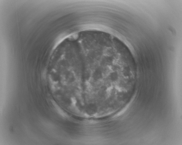 X0000115061529200911231204