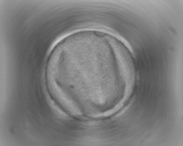 X0000115061530200911231204