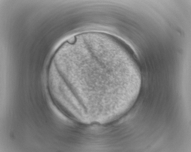 X0000115061531200911231204