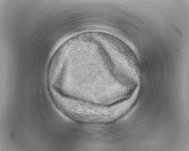 X0000115061533200911231204