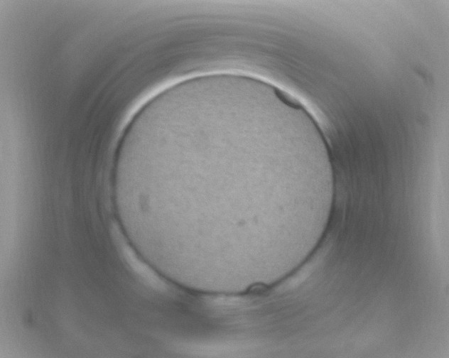 X0000115061534200911231204