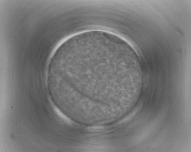 X0000115061535200911231204