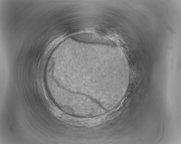 X0000115060001200912071201