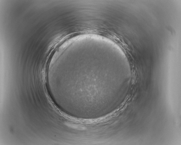 X0000115060002200912071201