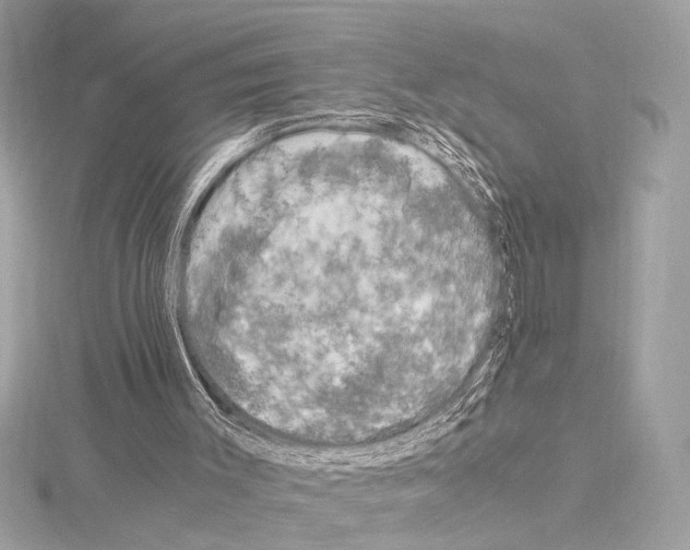 X0000115060003200912071201