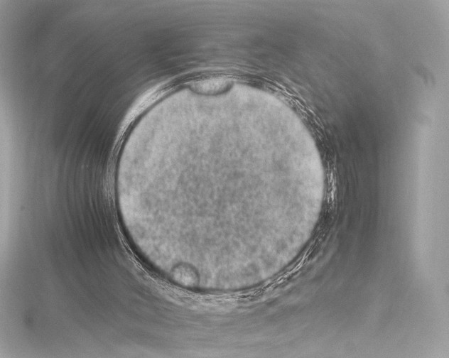 X0000115060004200912071201