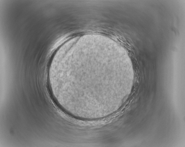 X0000115060005200912071201