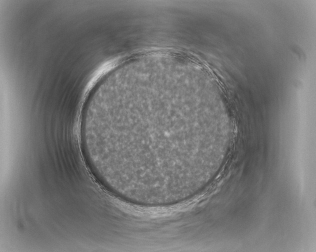 X0000115060006200912071201