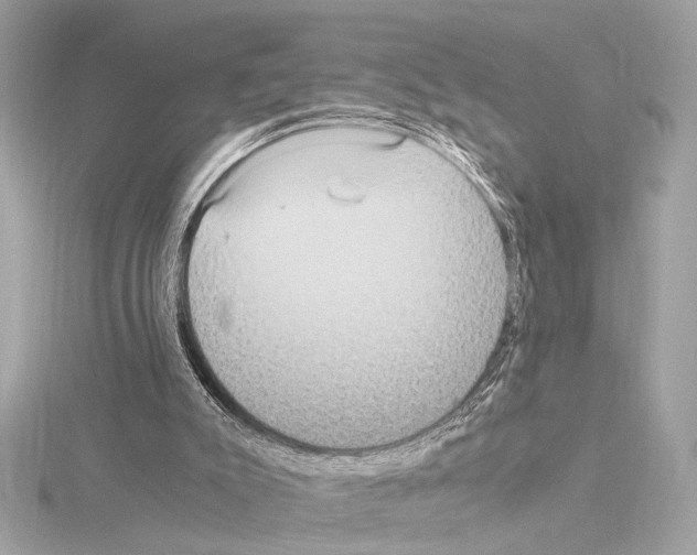 X0000115060007200912071201