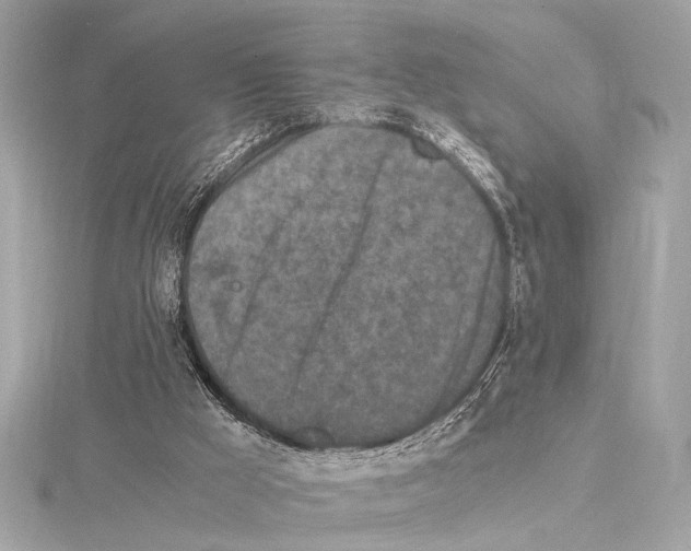 X0000115060009200912071201