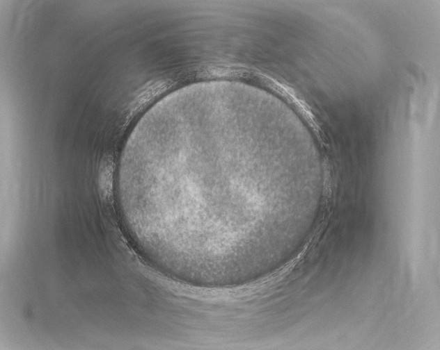 X0000115060010200912071201