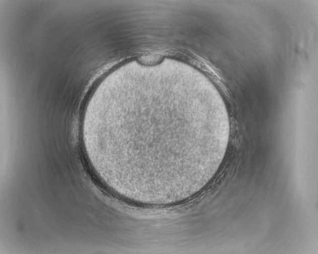 X0000115060012200912071201