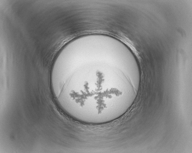 X0000115060013200912071201