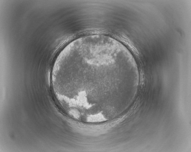 X0000115060014200912071201