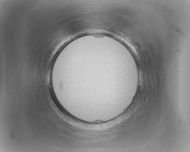 X0000115060015200912071201