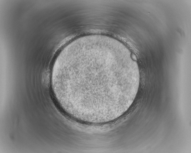 X0000115060016200912071201