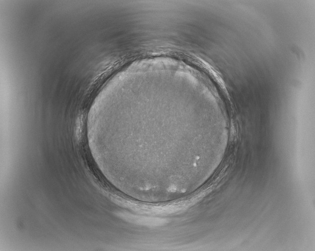 X0000115060018200912071200