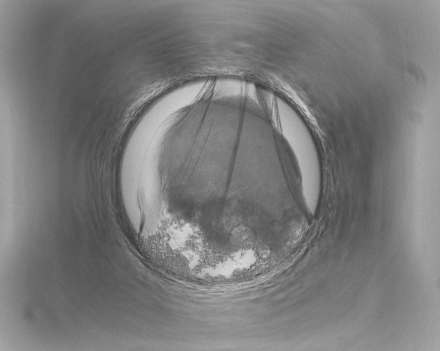 X0000115060019200912071200