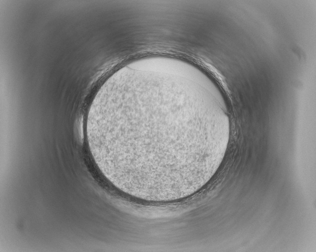 X0000115060020200912071200