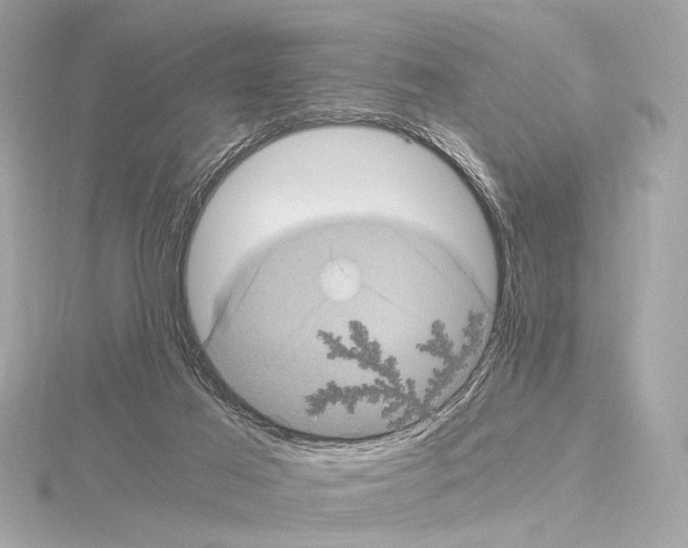 X0000115060021200912071200