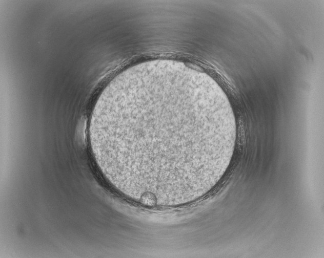 X0000115060024200912071200